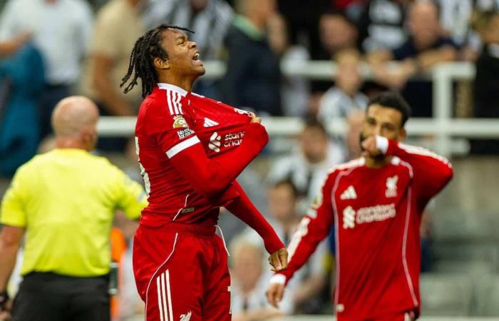 بالبلدي : بعد
      تألق
      نجوموها..
      لاعب
      ليفربول
      السابق:
      لا
      يمكن
      لأي
      لاعب
      أن
      يعوض
      رحيل
      محمد
      صلاح