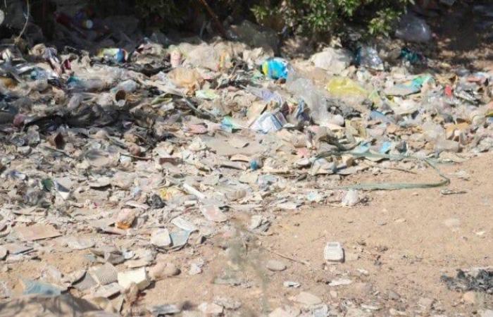 بالبلدي : جامعة
      قنا
      تكشف
      حقيقة
      صور
      القمامة
      وتعلن
      إنشاء
      ساحة
      انتظار
      بمحيط
      المستشفيات
      الجامعية