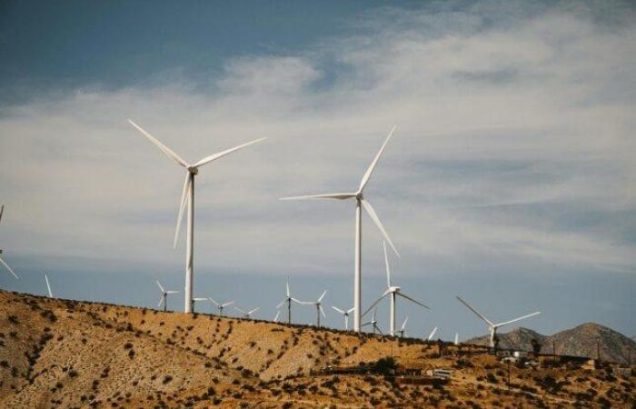 بالبلدي: مجلس
      الوزراء
      يمنح
      «شقير
      لطاقة
      الرياح»
      الرخصة
      الذهبية
      لمشروع
      بقدرة
      900
      ميجاوات