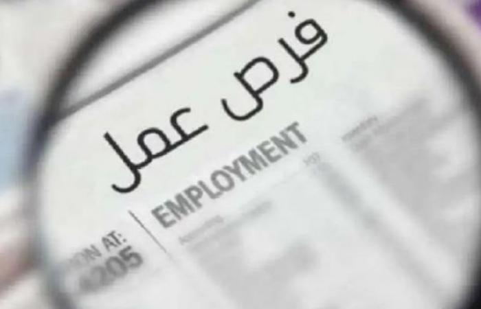 بالبلدي: وزارة
      العمل
      تعلن
      5753
      فرصة
      عمل
      جديدة
      في
      15
      محافظة..
      اعرف
      طريقة
      التقديم