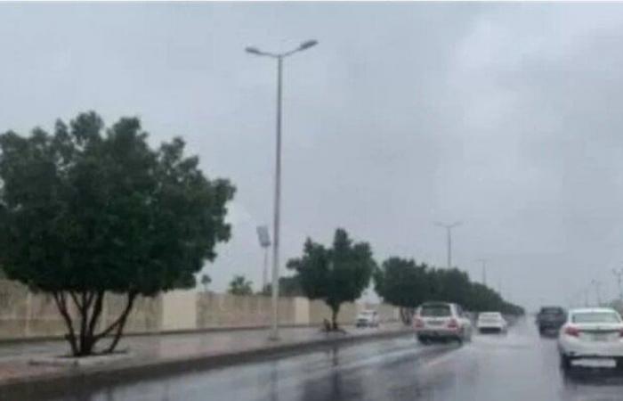 بالبلدي : حالة
      الطقس
      اليوم
      الجمعة
      في
      القاهرة
      والمحافظات..
      انخفاض
      درجات
      الحرارة
      وتحذير
      من
      الشبورة