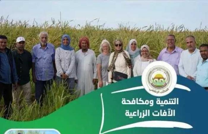 الزراعة:
      تنشر
      تقريرًا
      بأنشطة
      وجهود
      معاهد
      ومعامل
      «البحوث
      الزراعية»
      خلال
      الأسبوع
      الرابع
      من
      أكتوبر
      2026