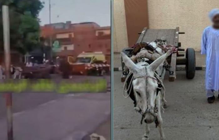 بالبلدي: تسبب
      في
      توقف
      القطار..
      ملابسات
      فيديو
      عبور
      سائق
      عربة
      «كارو»
      المزلقان
      أثناء
      غلقه