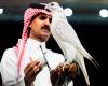 بالبلدي: مزاد سعودي يبيع ثاني أغلى صقر في تاريخه مقابل 1.3 مليون ريال