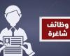 بالبلدي: وظائف
      شاغرة
      برواتب
      16
      ألف
      جنيه..
      التخصصات
      المطلوبة
      والشروط
      وطريقة
      التقديم