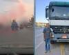 بالبلدي: ضبط
      سائق
      بتهمة
      السير
      برعونة
      بأحد
      الطرق
      السريعة
      في
      الغربية
