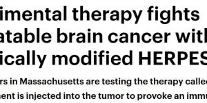 بالبلدي: علماء: علاج تجريبى يحارب سرطان المخ باستخدام فيروس الهربس المعدل وراثيًا