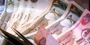 بالبلدي : سعر الدرهم الإماراتي مقابل الجنيه اليوم الجمعة 20 أكتوبر 2023