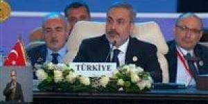 بالبلدي : وزير خارجية تركيا: إسرائيل استفادت من الإخفاقات الكثيرة للمجتمع الدولي
