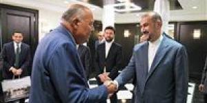بالبلدي : إيران تثمن مساعي مصر لوقف الحرب على غزة.. وتؤكد رفض تهجير الفلسطينيين إلى سيناء