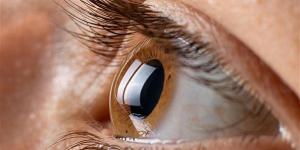 بالبلدي : زرع الخلايا المنتجة للأنسولين في العين قد يساعد في علاج مرض السكري| دراسة