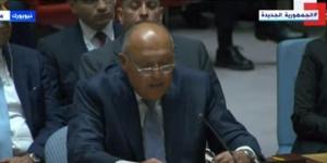 بالبلدي: وزير الخارجية بمجلس الأمن: نستغرب من عدم إصدار قرارات بوقف إطلاق النار بغزة belbalady.net