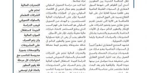 بالبلدي: التوعية بالتمويل السلوكي واجتياز التحديات - بقلم الدكتور أحمد الشناوي