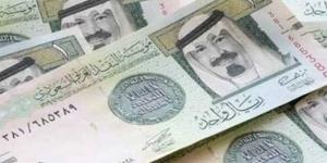 بالبلدي: سعر الريال السعودي مقابل الجنيه المصري اليوم الأربعاء 25 أكتوبر