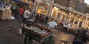 بالبلدي: سوق الأنفوشي أقدم حلقة سمك فى مصر عمره 200 سنة.. من وحى مسلسل المعلم