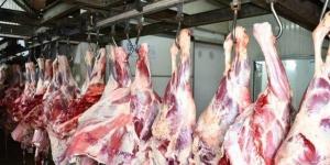 بالبلدي: بعد هبوط الدواجن.. هل تنخفض أسعار اللحوم بالأسواق؟ | خبراء يجيبون belbalady.net