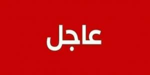 بالبلدي: الجيش اللبناني يعلن مقتل باسكال سليمان خلال اختطافه