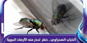 بالبلدي: احذر.. هل يسبب انتشار الذباب الصحراوي خطرا على المواطنين belbalady.net