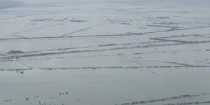 بالبلدي: فيضانات عارمة تضرب مقاطعة جوانجدونج جنوبي الصين