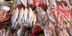 بالبلدي: المقاطعة تواصل نجاحها..البلطي يهبط 35 جنيها والماكريل 50| أسعار جميع أنواع الأسماك belbalady.net
