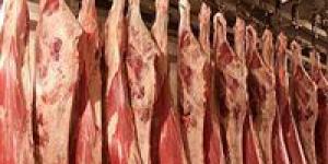بالبلدي: سعر اللحوم في السوق المصري اليوم الاثنين 29 - 4 – 2024