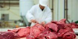 بالبلدي : أسعار اللحوم اليوم السبت 11 مايو 2024 في الأسواق