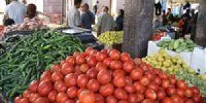 بالبلدي : أسعار الخضراوات اليوم الثلاثاء 28 مايو 2024 في الأسواق