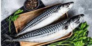 بالبلدي: سعر السمك اليوم السبت 1 - 6 – 2024 في السوق المصري