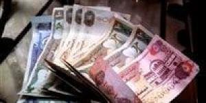 بالبلدي : سعر الدرهم الإماراتي اليوم الأحد في البنوك المصرية