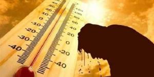 بالبلدي : الزراعة تحذر: زيادة في خطورة التعرض للشمس المباشرة.. وبداية الصيف بعد 13 يومًا