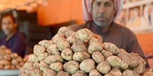 بالبلدي : فوائد وأضرار الفقع وما هي أسماؤه؟