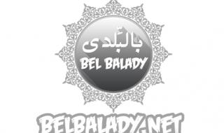 تفسير حلم الدجاج في المنام للعزباء والمتزوجة والحامل والرجل لابن سيرين والنابلسي