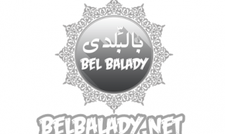بالبلدي : قطط مضحكة بالبلدي | BELBALADY