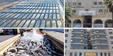 بالبلدي: دراسة تكشف اهتمام الدولة بتنمية الثروة السمكية من خلال مشروعات الاستزراع