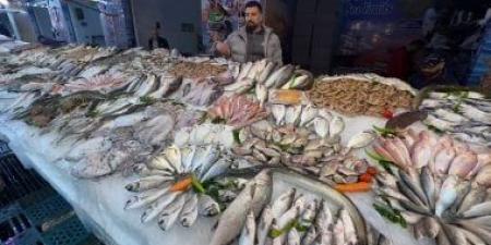 بالبلدي: وثيقة: مصر تستهدف إنتاج 5 ملايين طن أسماك الـ10 سنوات المقبلة