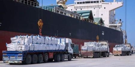بالبلدي: ميناء دمياط يستقبل 6598 طن قمح على متن سفينة قادمة من أوكرانيا belbalady.net