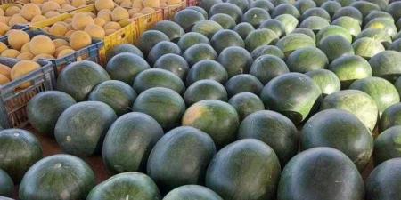 بالبلدي : البحوث الزراعية تحذر من جني محصول البطيخ بالنهار .. فيديو