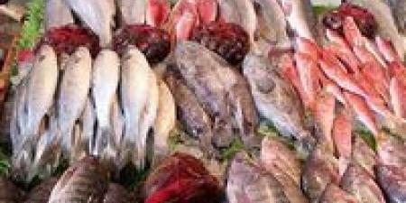 بالبلدي : أسعار السمك اليوم الاثنين 29 أبريل 2024