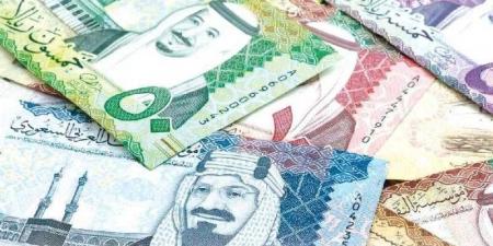 بالبلدي: أسعار العملات العربية أمام الجنيه المصري اليوم الإثنين 29 أبريل 2024