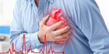 بالبلدي : الزحام المروري قد يزيد من خطر الإصابة بأمراض القلب والأوعية الدموية | دراسة