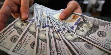 بالبلدي : أسعار الدولار في مصر اليوم السبت