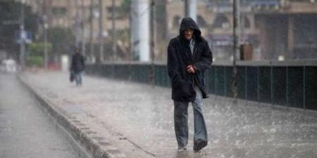بالبلدي: حر وأمطار ورياح.. مفاجأة في طقس شم النسيم والأرصاد توضح belbalady.net