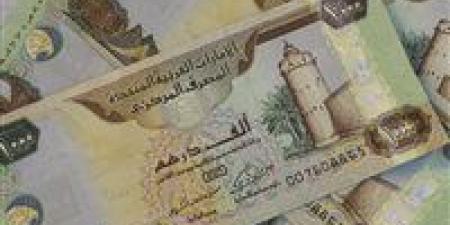 بالبلدي : سعر الدرهم الإماراتي مقابل الجنيه المصري اليوم الاثنين 6 مايو 2024