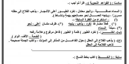 بالبلدي: نماذج امتحانات اللغة العربية للصف الرابع الابتدائي ترم ثاني 2024