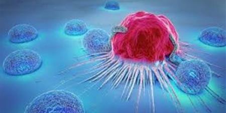 بالبلدي : الكشف عن أساليب جديدة للسرطان للهروب من الخلايا المناعية