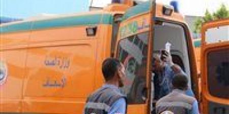 بالبلدي : قتل سائق توكتوك وإصابة شقيقه في مشاجرة بالدقهلية بسب خلافات مالية