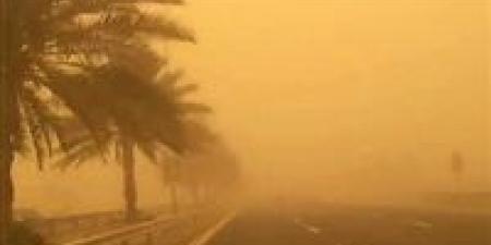 بالبلدي : أمطار وأتربة.. الأرصاد تحذر من حالة الطقس في مصر لمدة 6 أيام مقبلة