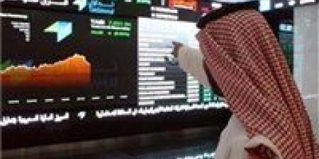 بالبلدي: تراجع مؤشر سوق الأسهم السعودية بختام تعاملات اليوم الأحد عند مستوى 12217 نقطة