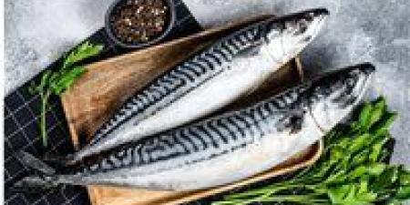 بالبلدي: أسعار السمك اليوم الأحد 12 - 5 – 2024 في السوق المصري