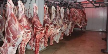 بالبلدي: الكيلو ب280 ج .. تراجع أسعار اللحوم اليوم قبل عيد الأضحي 2024